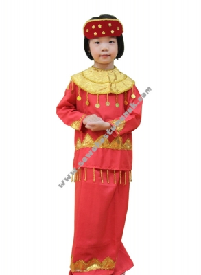 pakaian adat palembang  large